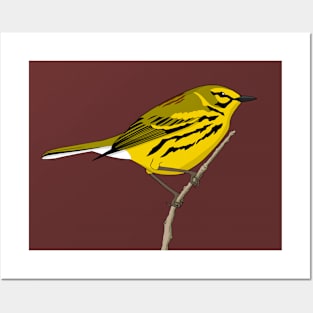 Prairie Warbler Posters and Art